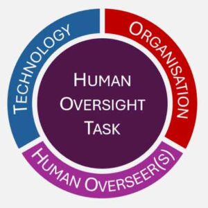 Keeping an Eye on AI: A Framework for Effective Human Oversight of AI Systems